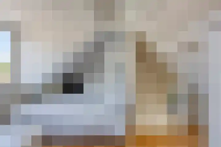 Groot Kraaivenstraat 2 a Goirle thumbnail 32