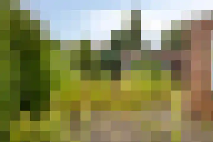 Groot Kraaivenstraat 21 Goirle thumbnail 25