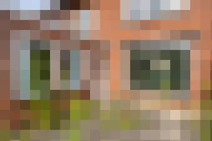 Groot Kraaivenstraat 21 Goirle thumbnail 26