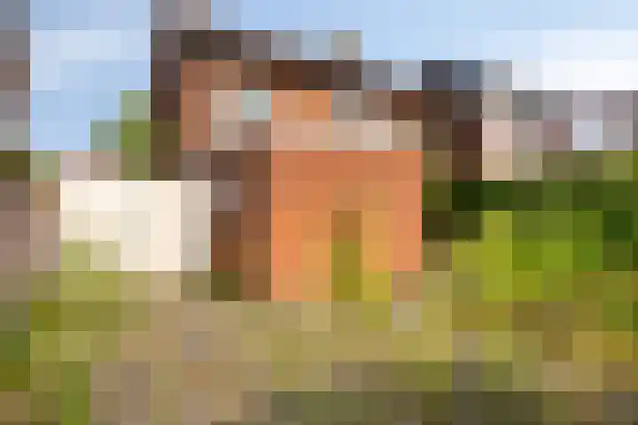 Groot Kraaivenstraat 21 Goirle thumbnail 28