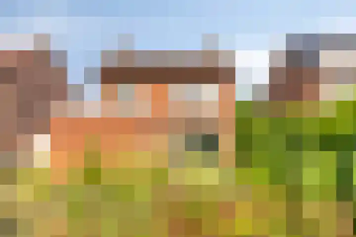 Groot Kraaivenstraat 21 Goirle thumbnail 29