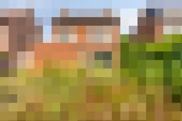 Groot Kraaivenstraat 21 Goirle thumbnail 30