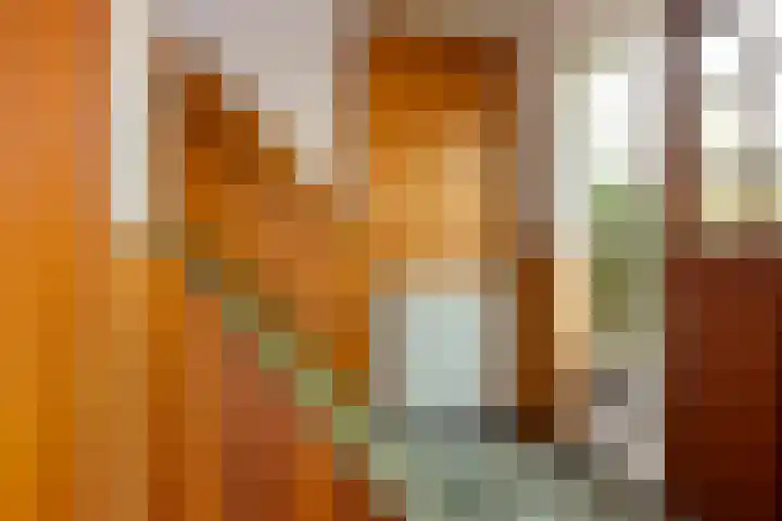 Groot Kraaivenstraat 21 Goirle thumbnail 7