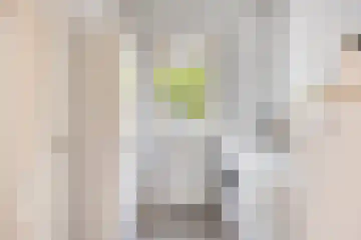 Groot Kraaivenstraat 33 Goirle thumbnail 20