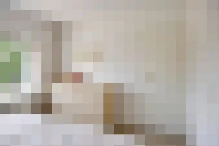 Groot Kraaivenstraat 33 Goirle thumbnail 25
