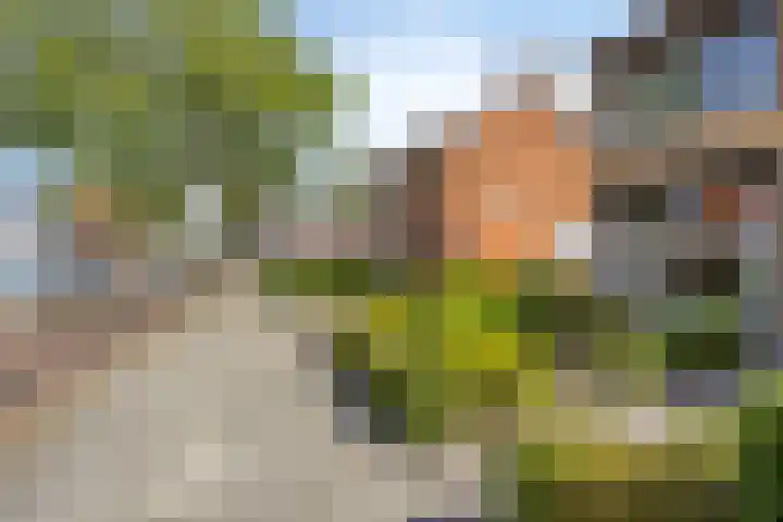 Groot Kraaivenstraat 33 Goirle thumbnail 44