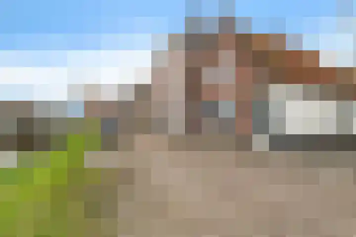 Groot Lageland 13 Zwartsluis thumbnail 10