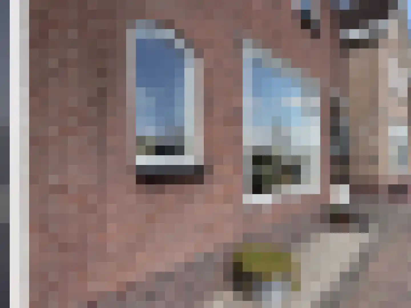 Groot Lageland 13 Zwartsluis thumbnail 14