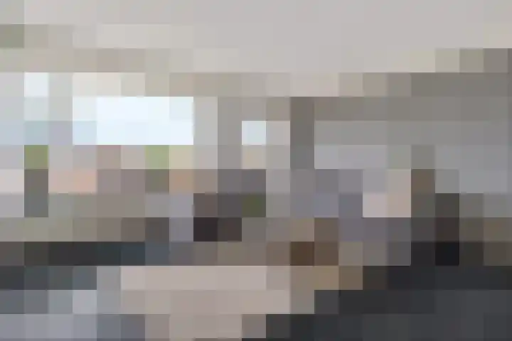 Groot Lageland 13 Zwartsluis thumbnail 16