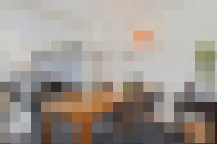 Groot Lageland 13 Zwartsluis thumbnail 18