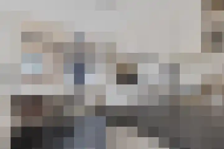 Groot Lageland 13 Zwartsluis thumbnail 20