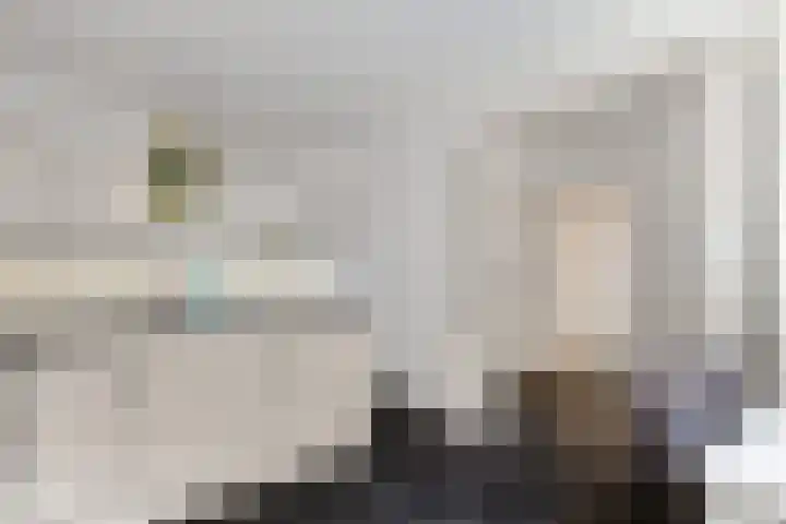 Groot Lageland 13 Zwartsluis thumbnail 21