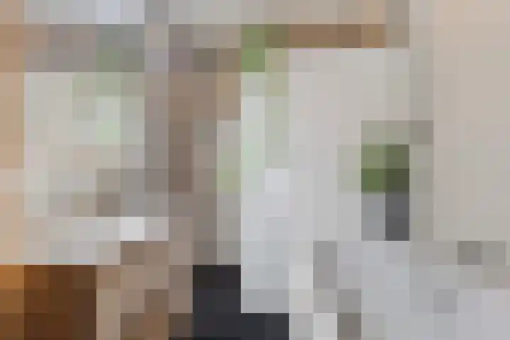 Groot Lageland 13 Zwartsluis thumbnail 23