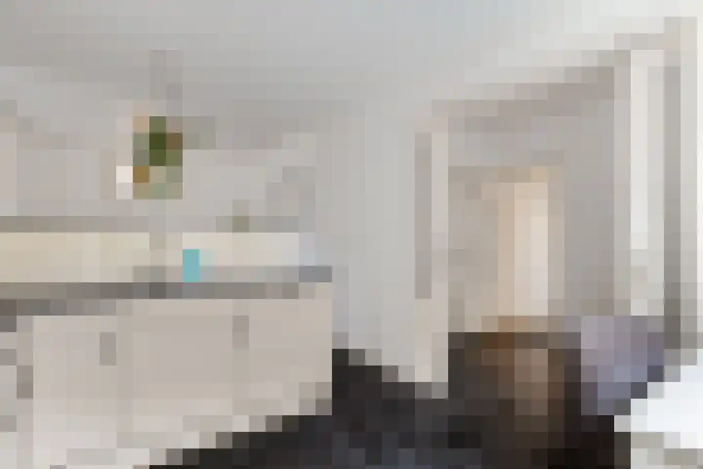 Groot Lageland 13 Zwartsluis thumbnail 26