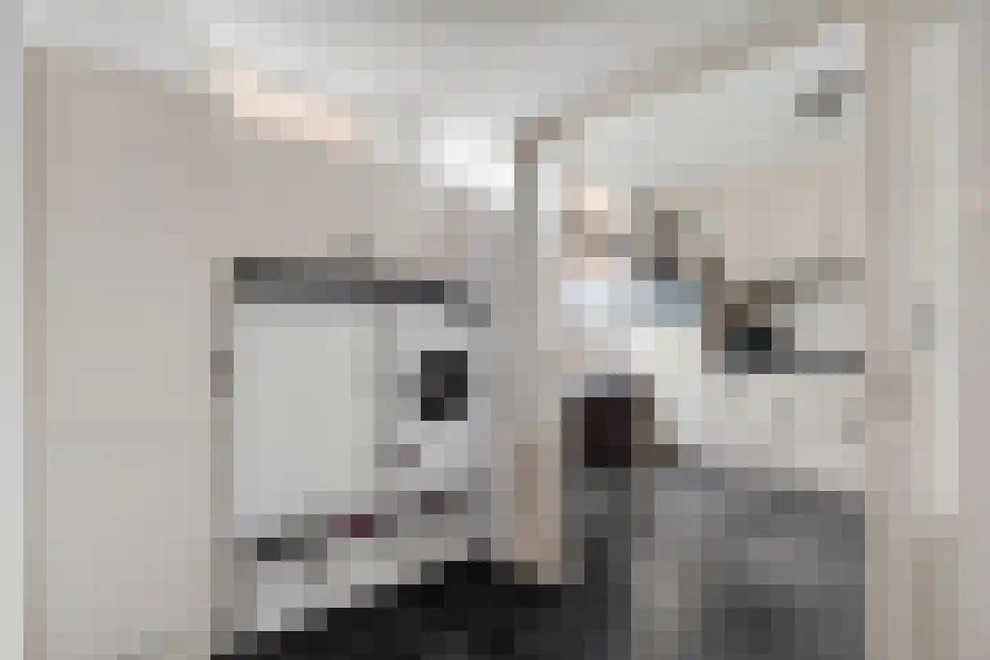Groot Lageland 13 Zwartsluis thumbnail 27