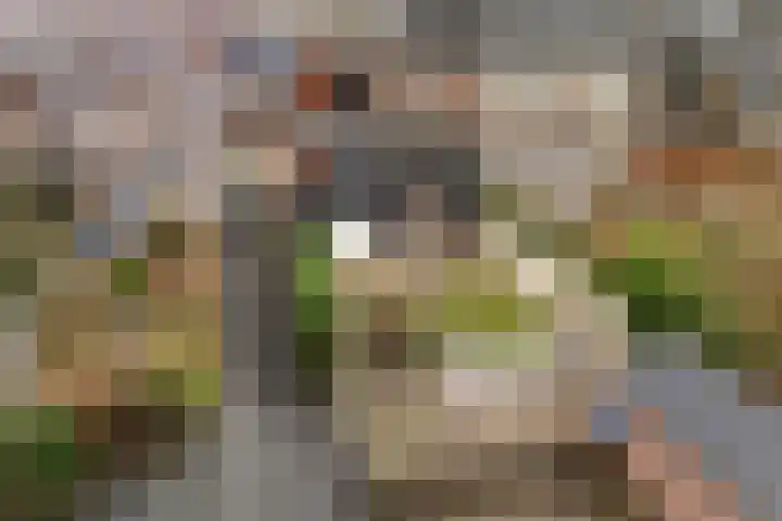 Groot Lageland 13 Zwartsluis thumbnail 30