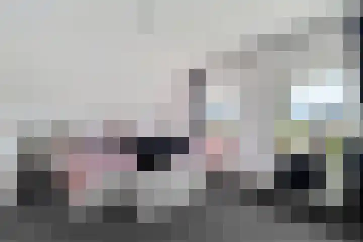 Groot Lageland 13 Zwartsluis thumbnail 34