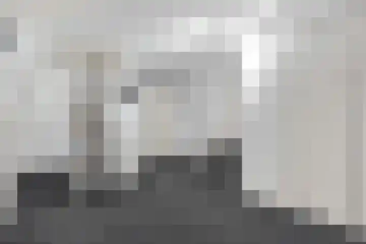 Groot Lageland 13 Zwartsluis thumbnail 35