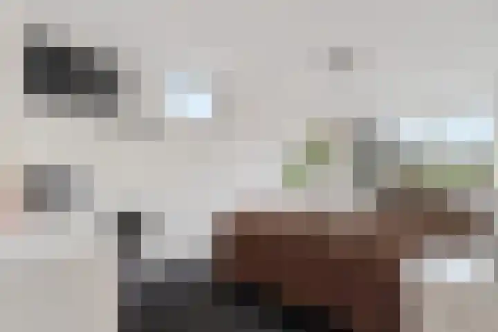 Groot Lageland 13 Zwartsluis thumbnail 37