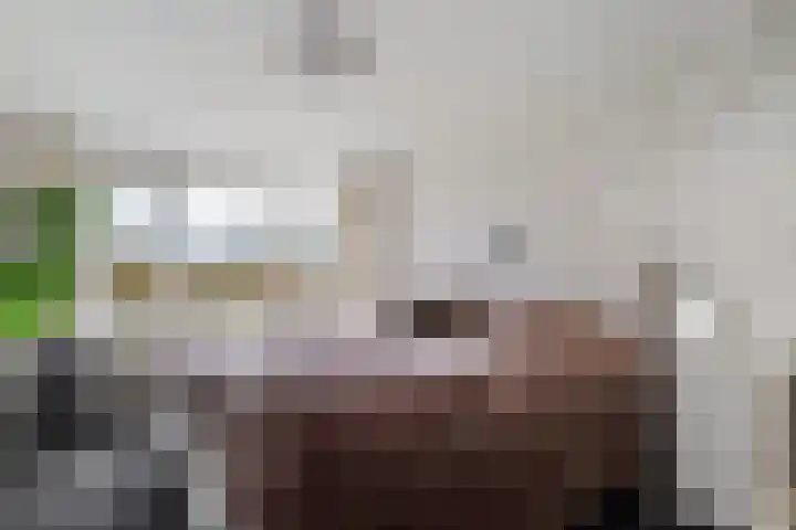 Groot Lageland 13 Zwartsluis thumbnail 38