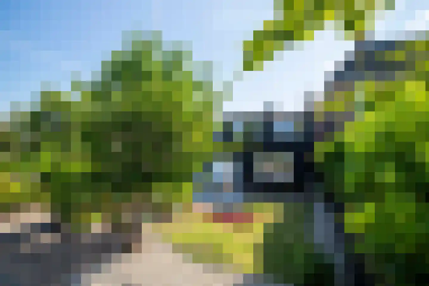 Groot Lageland 13 Zwartsluis thumbnail 39