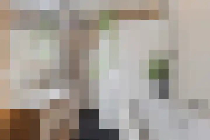 Groot Lageland 13 Zwartsluis thumbnail 4