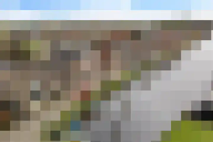 Groot Lageland 13 Zwartsluis thumbnail 44