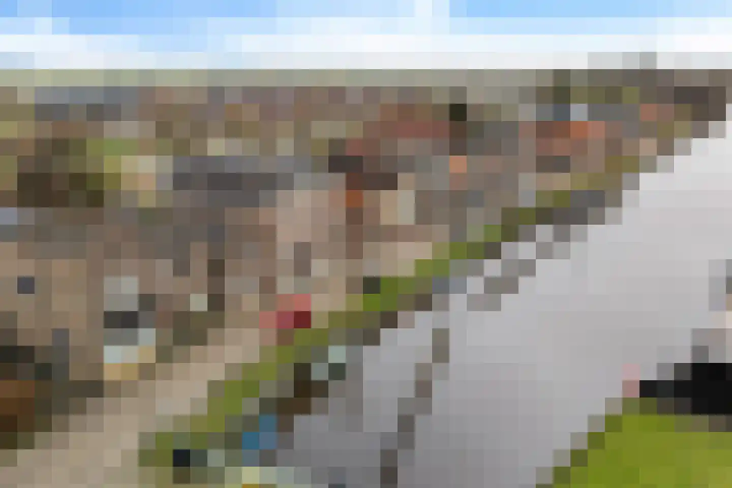 Groot Lageland 13 Zwartsluis thumbnail 44
