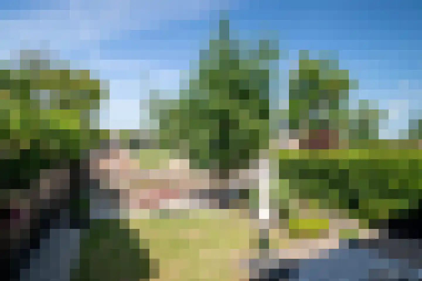 Groot Lageland 13 Zwartsluis thumbnail 46