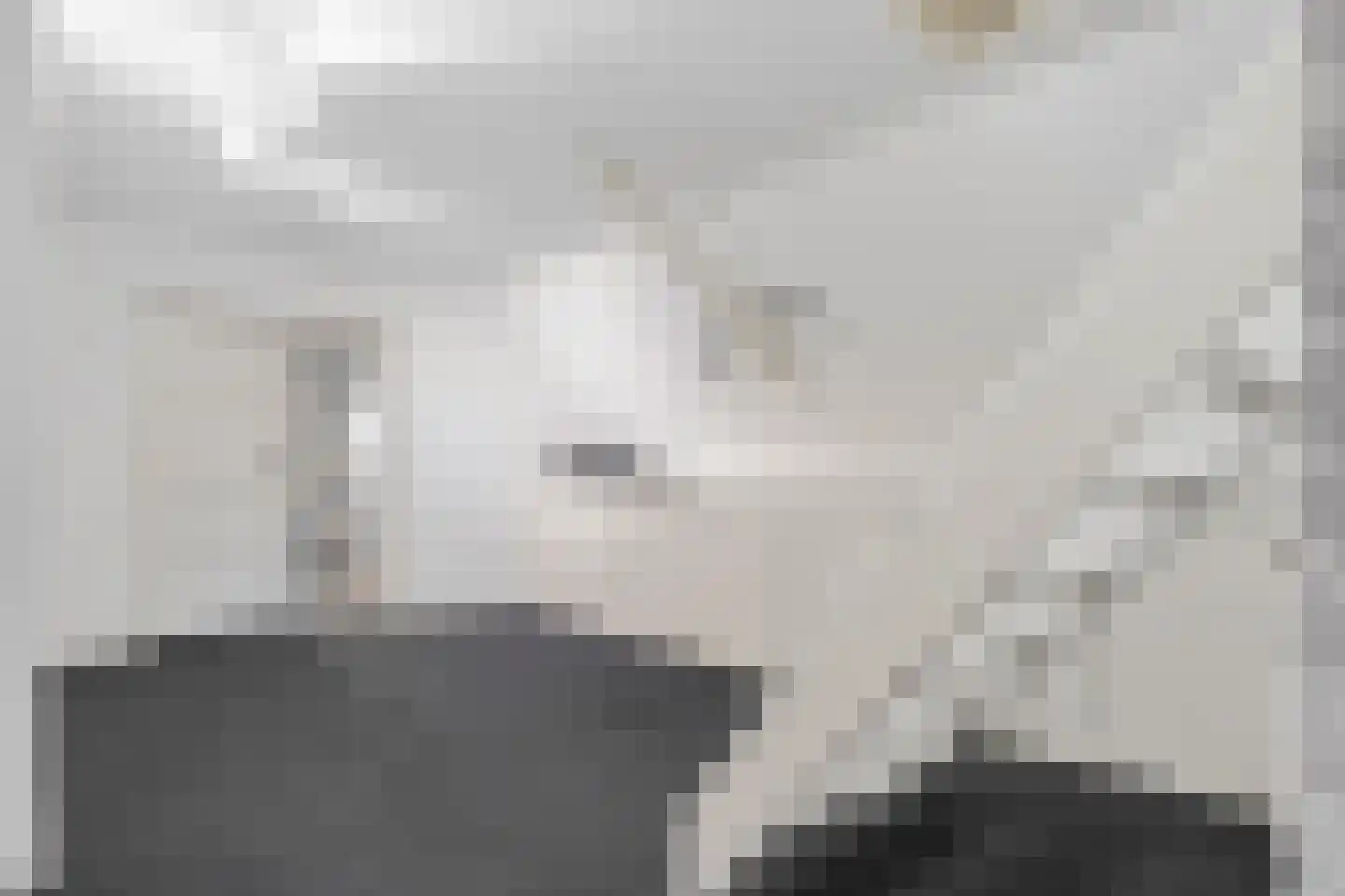 Groot Lageland 13 Zwartsluis thumbnail 52