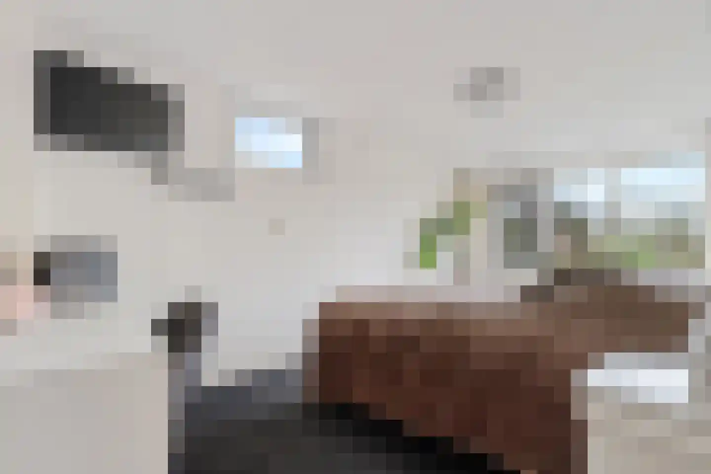 Groot Lageland 13 Zwartsluis thumbnail 53