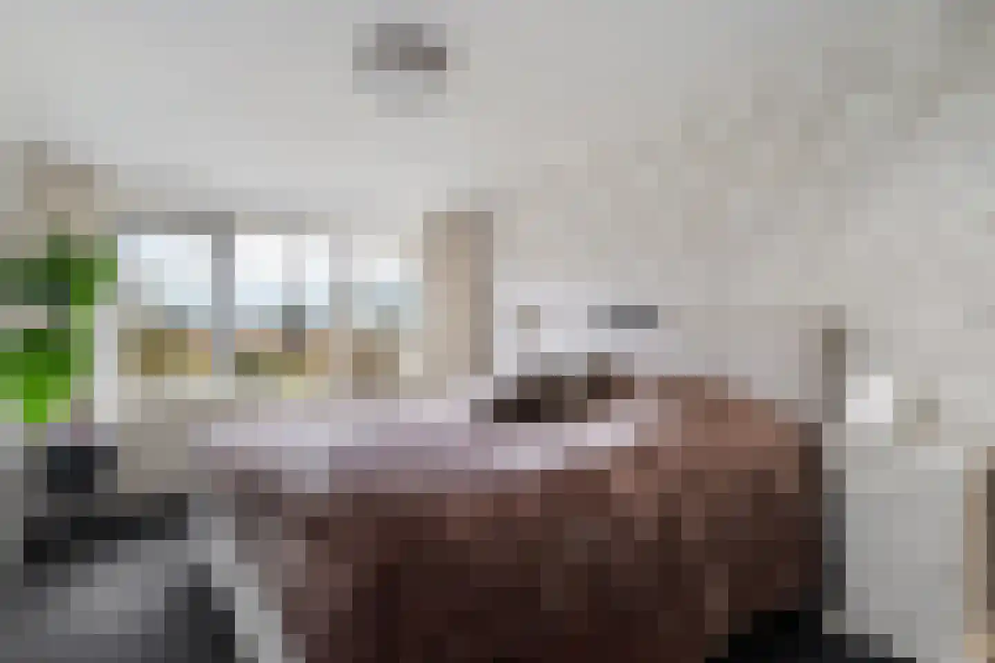 Groot Lageland 13 Zwartsluis thumbnail 54