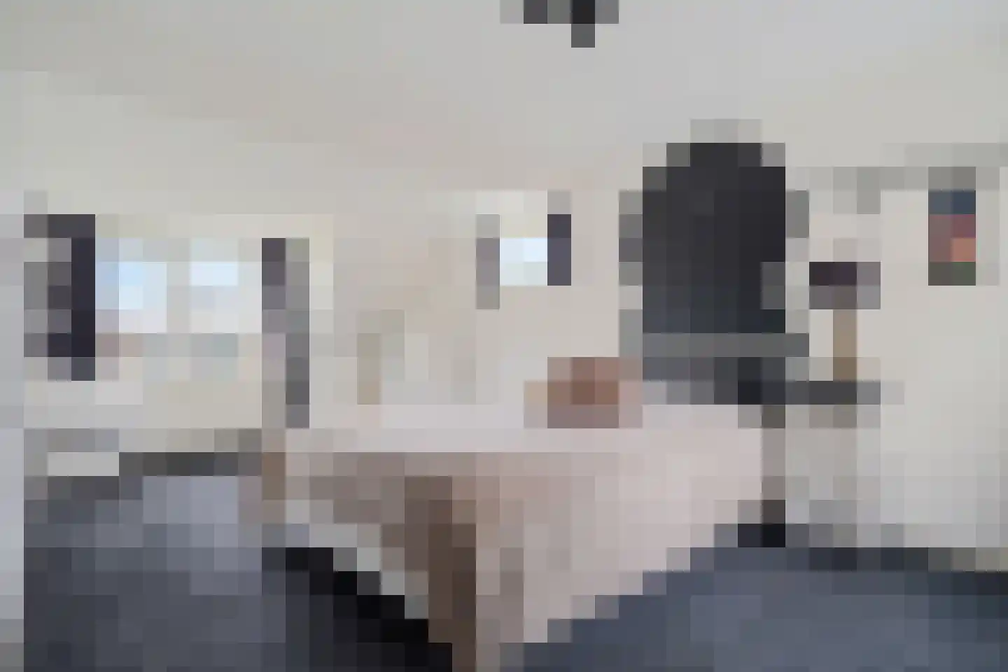 Groot Lageland 13 Zwartsluis thumbnail 56
