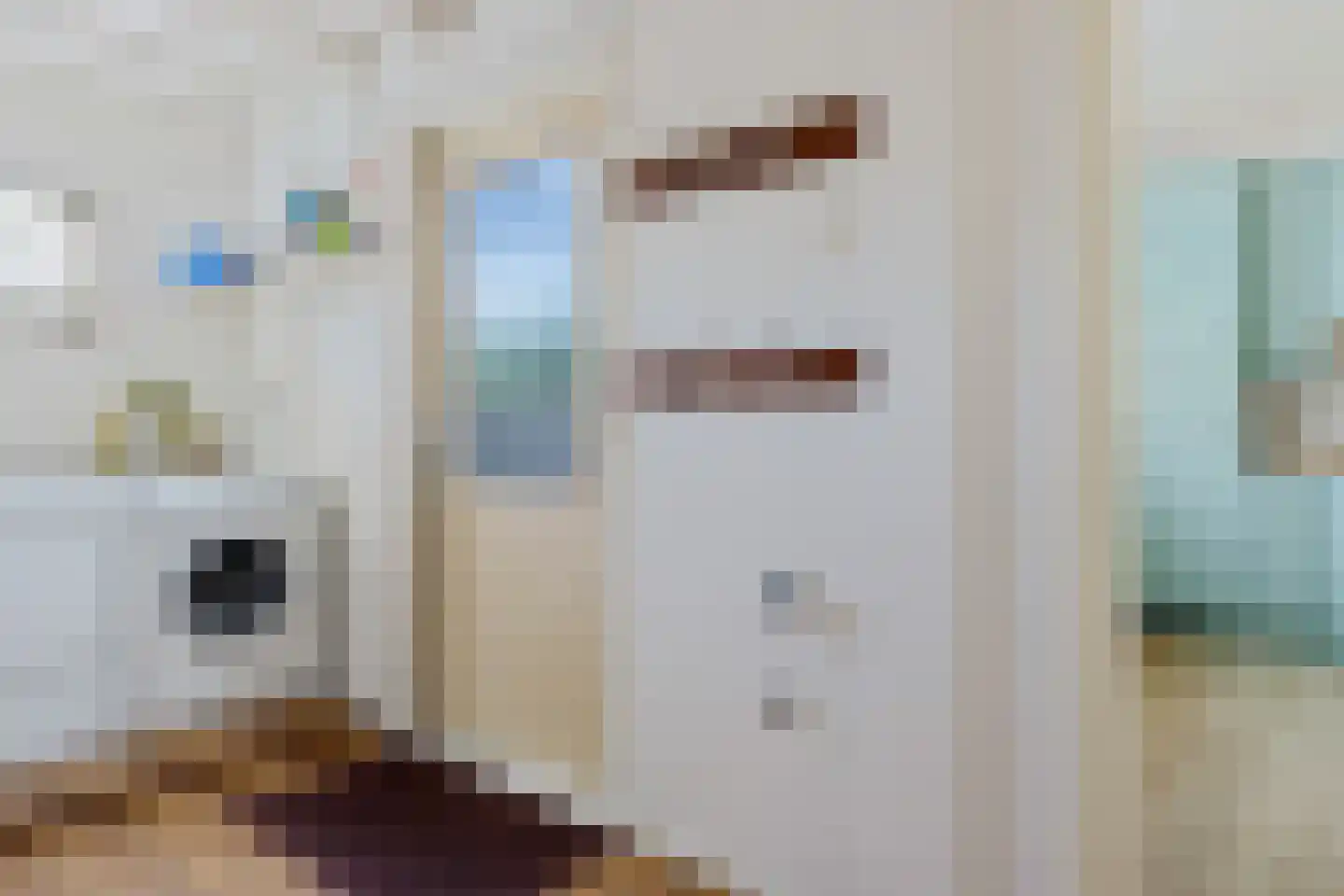 Groot Lageland 15 Zwartsluis thumbnail 18