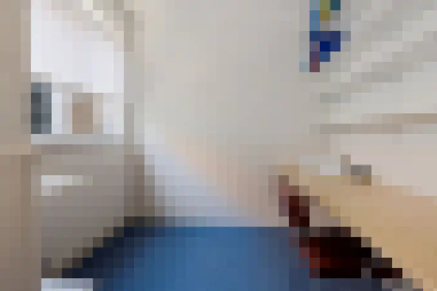 Groot Lageland 15 Zwartsluis thumbnail 20