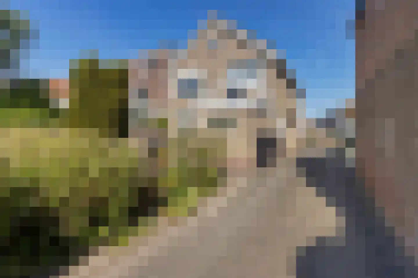 Groot Lageland 15 Zwartsluis thumbnail 21