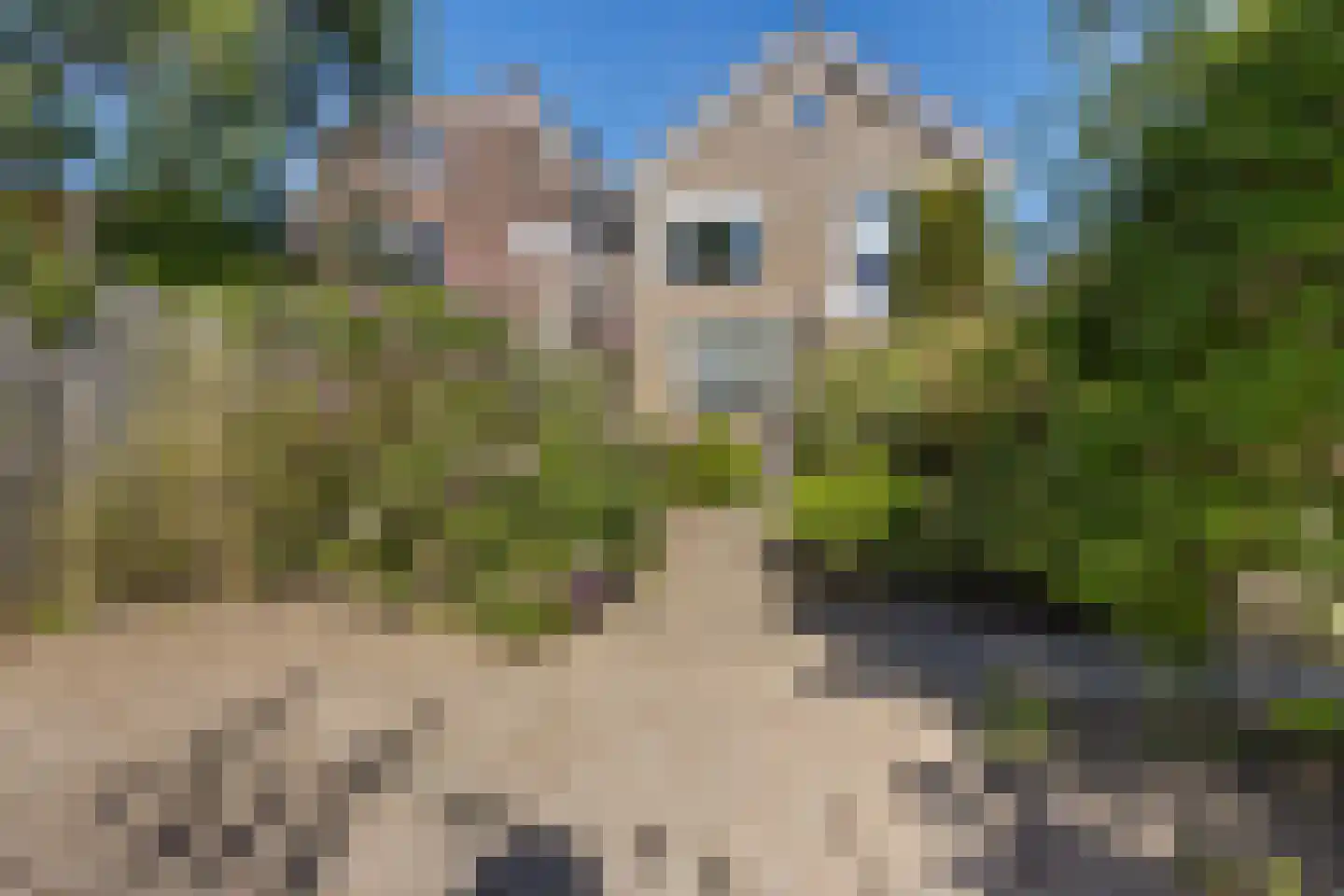 Groot Lageland 15 Zwartsluis thumbnail 22