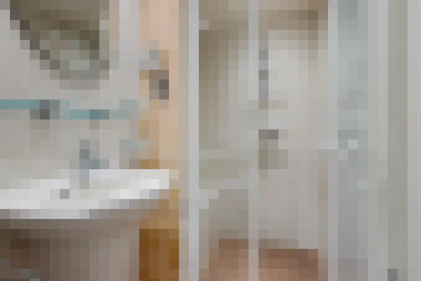 Groot Lageland 15 Zwartsluis thumbnail 28