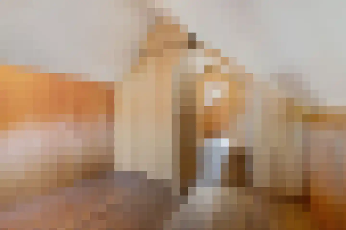 Groot Lageland 15 Zwartsluis thumbnail 36