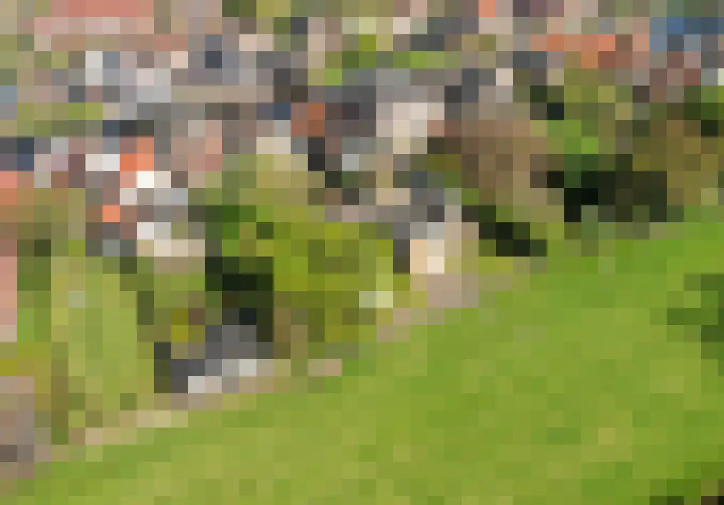 Groot Lageland 15 Zwartsluis thumbnail 41