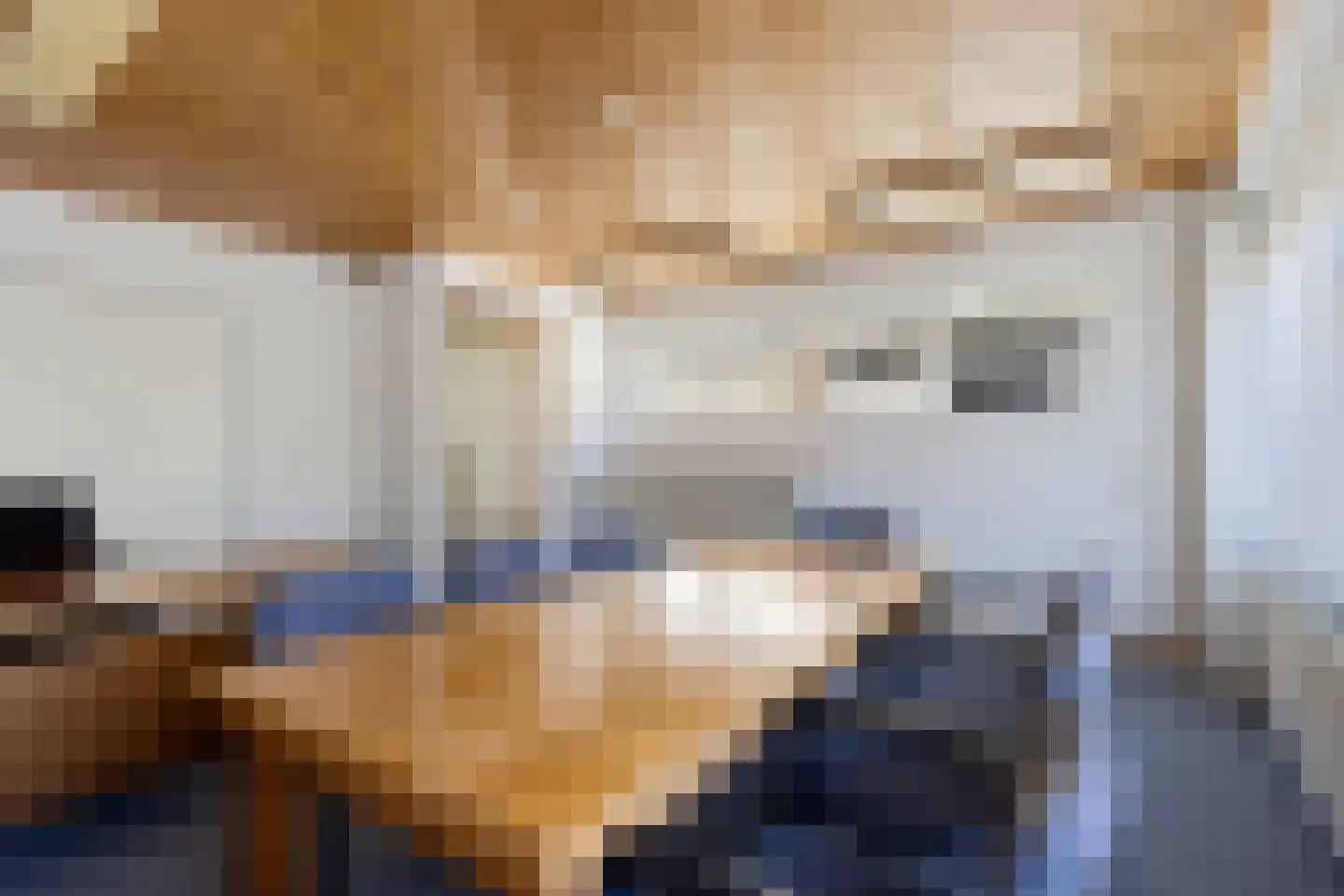 Groot Lageland 15 Zwartsluis thumbnail 43