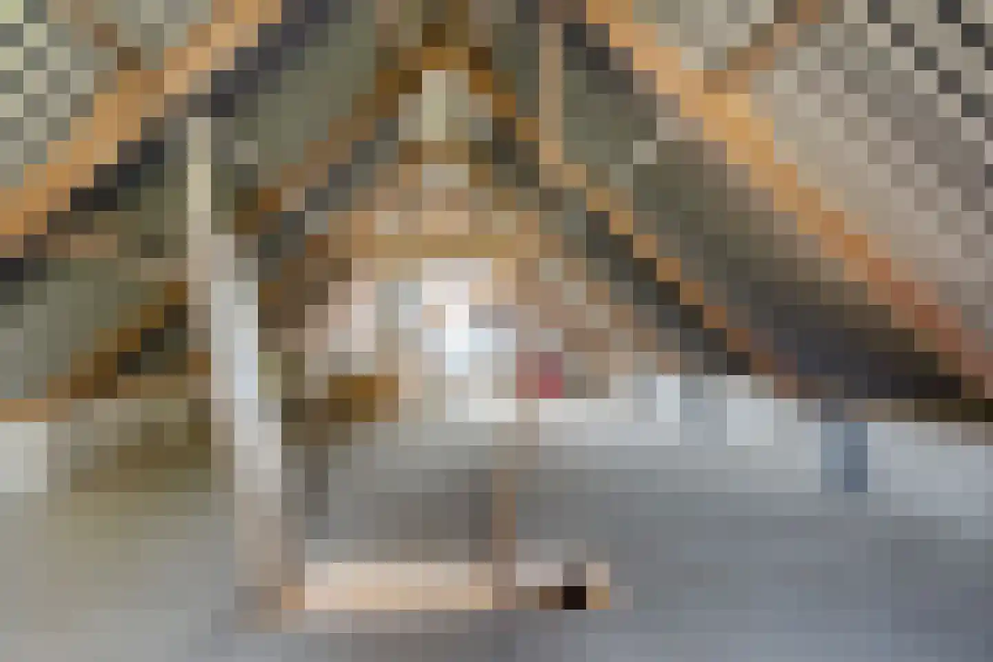 Groot Lageland 15 Zwartsluis thumbnail 52