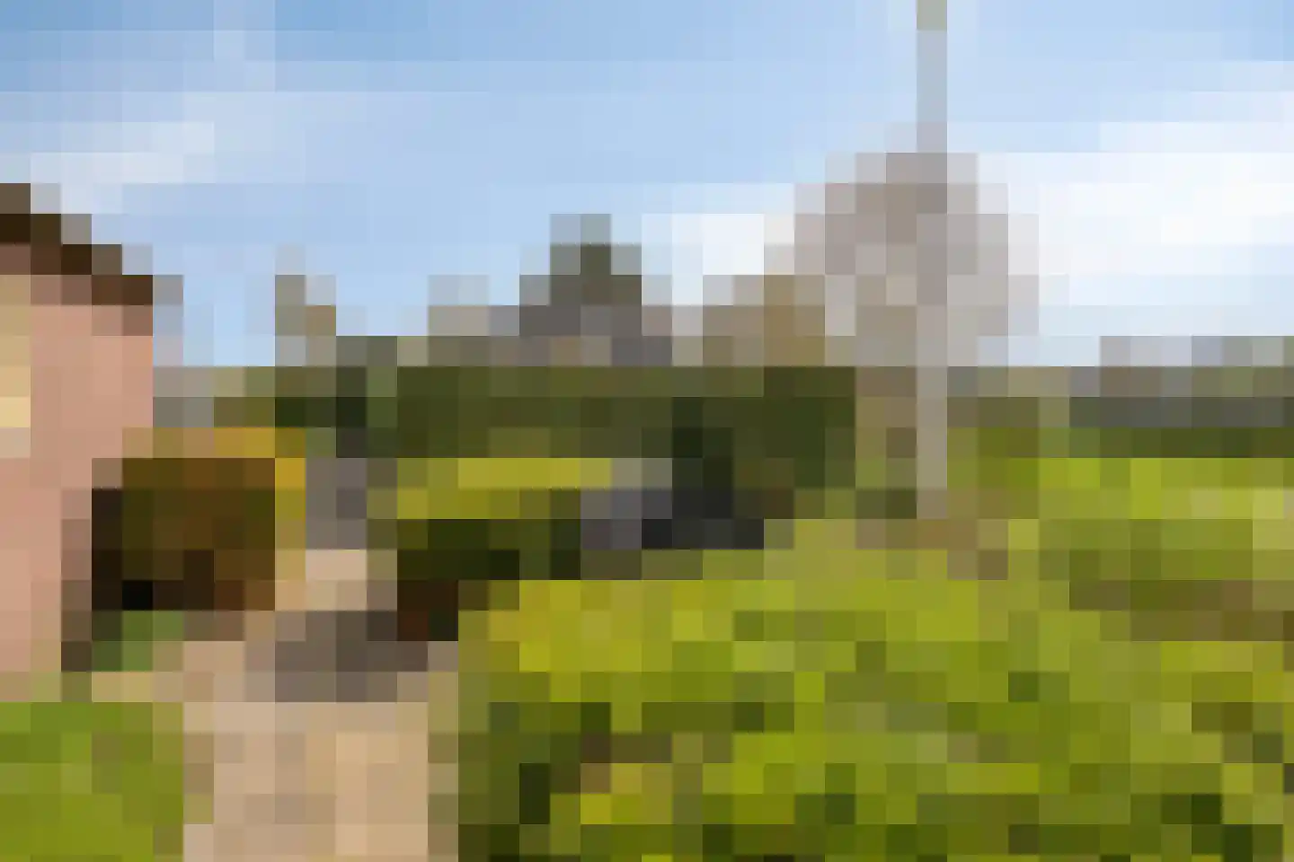 Groot Lobberikweg 2 a Loerbeek thumbnail 12