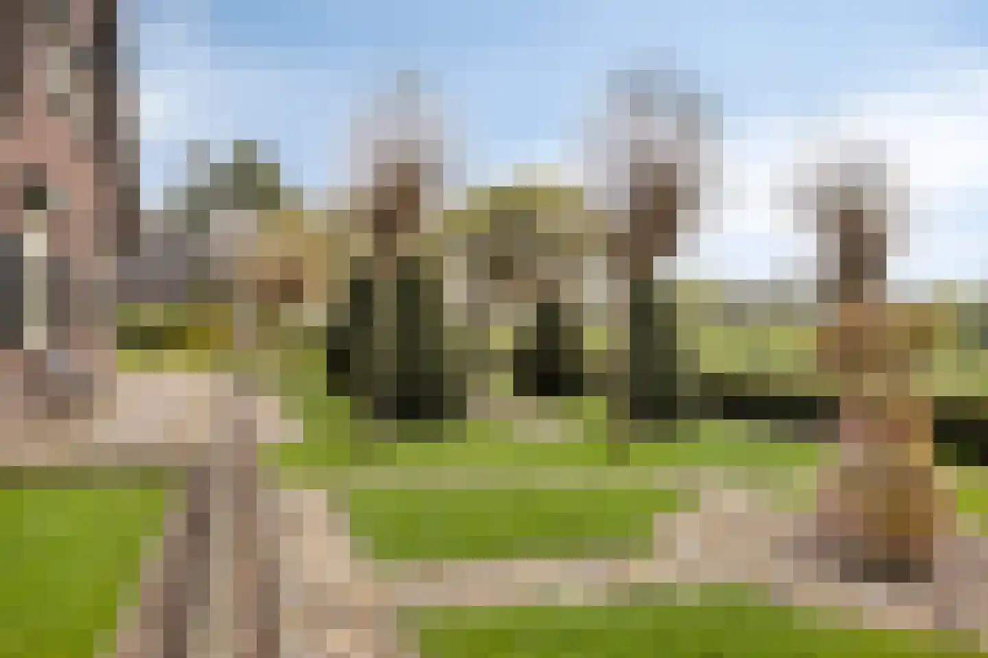 Groot Lobberikweg 2 a Loerbeek thumbnail 15