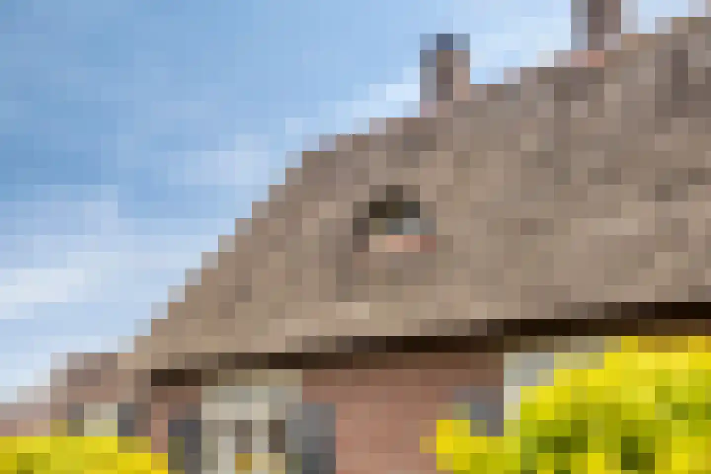 Groot Lobberikweg 2 a Loerbeek thumbnail 21
