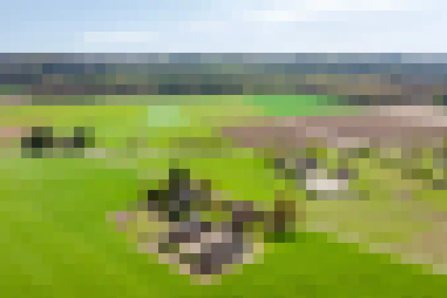 Groot Lobberikweg 2 a Loerbeek thumbnail 4
