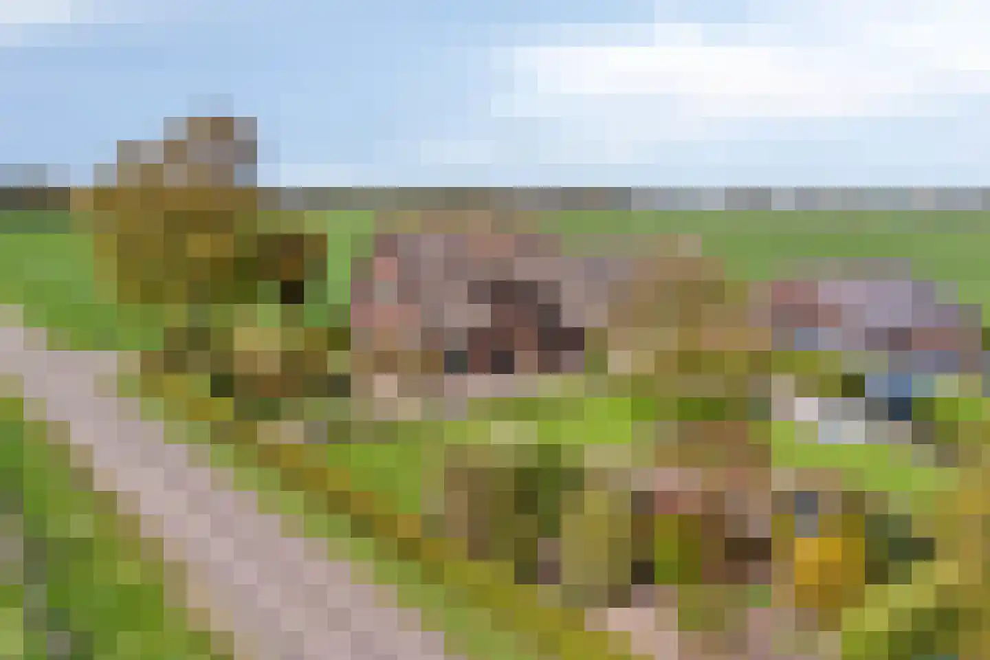 Groot Lobberikweg 2 a Loerbeek thumbnail 5