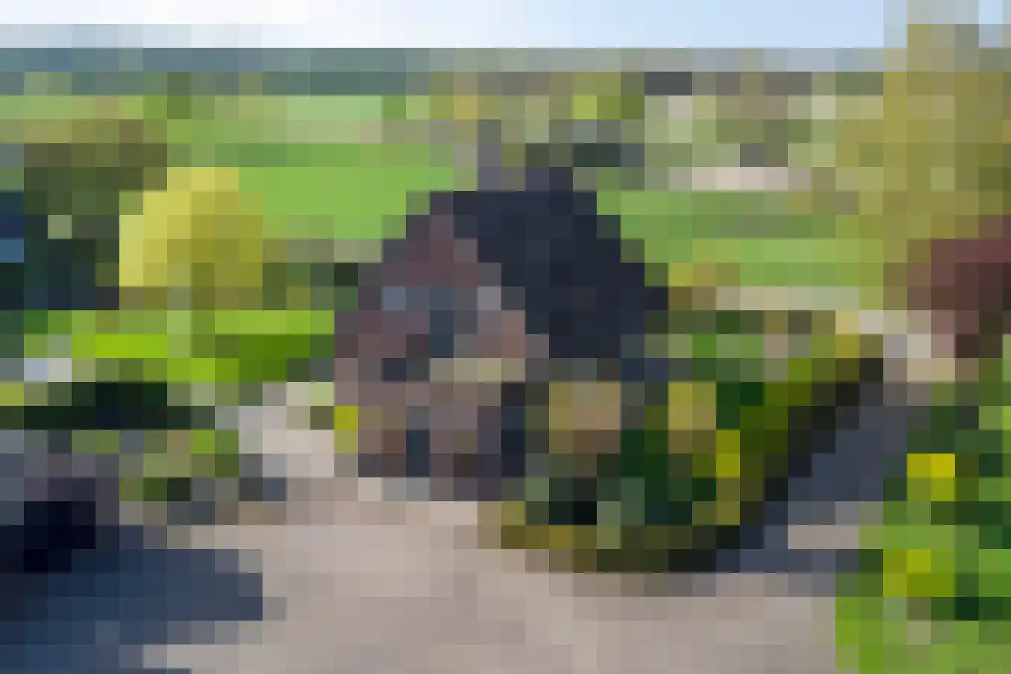 Groot Lobberikweg 2 a Loerbeek thumbnail 59