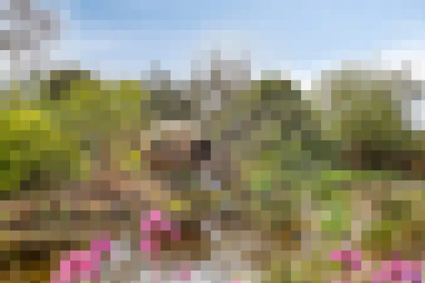 Groot Lobberikweg 2 a Loerbeek thumbnail 7