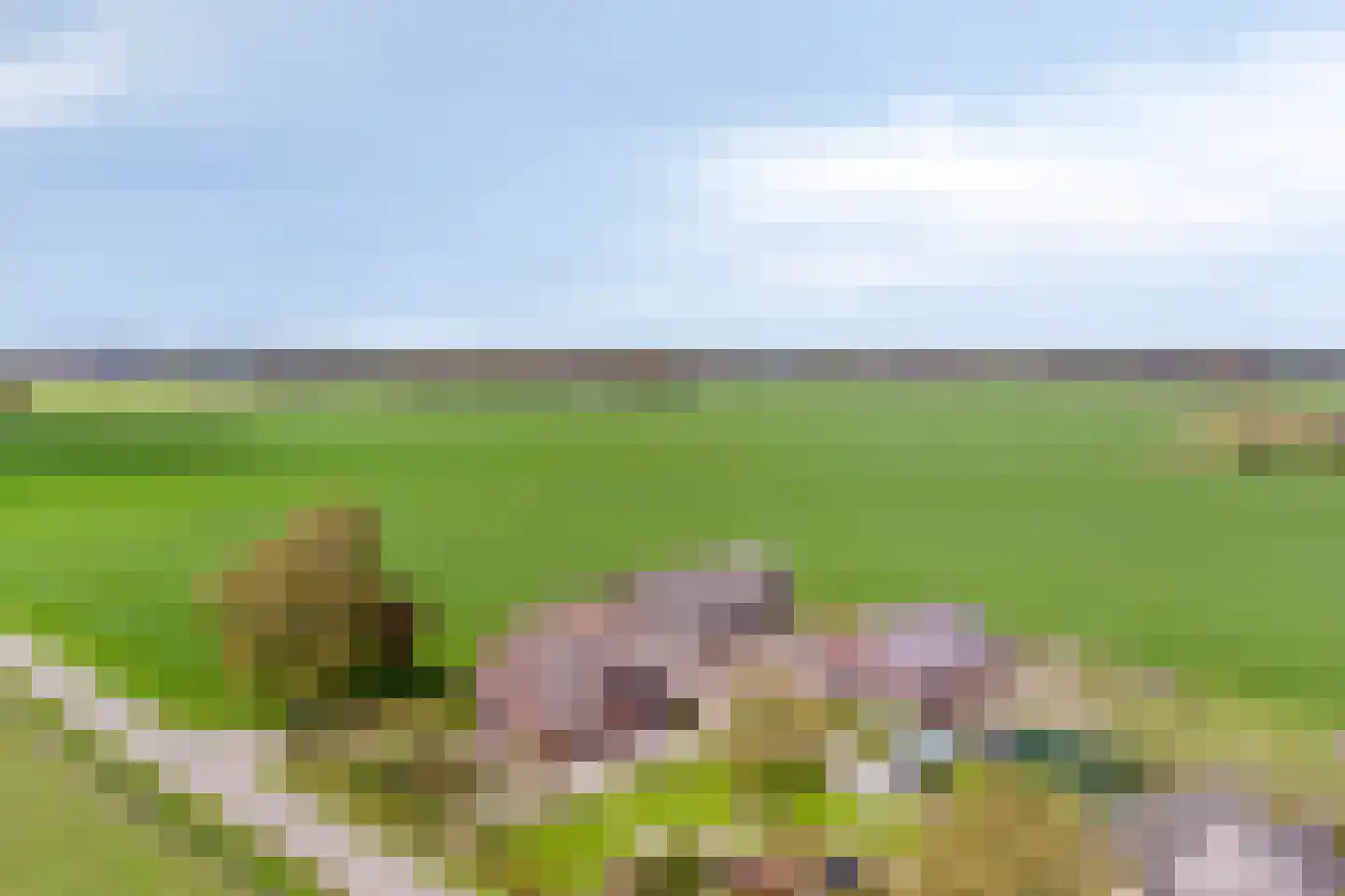Groot Lobberikweg 2 a Loerbeek thumbnail 71